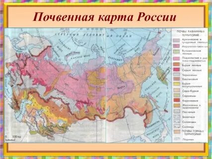 Грунтовая карта