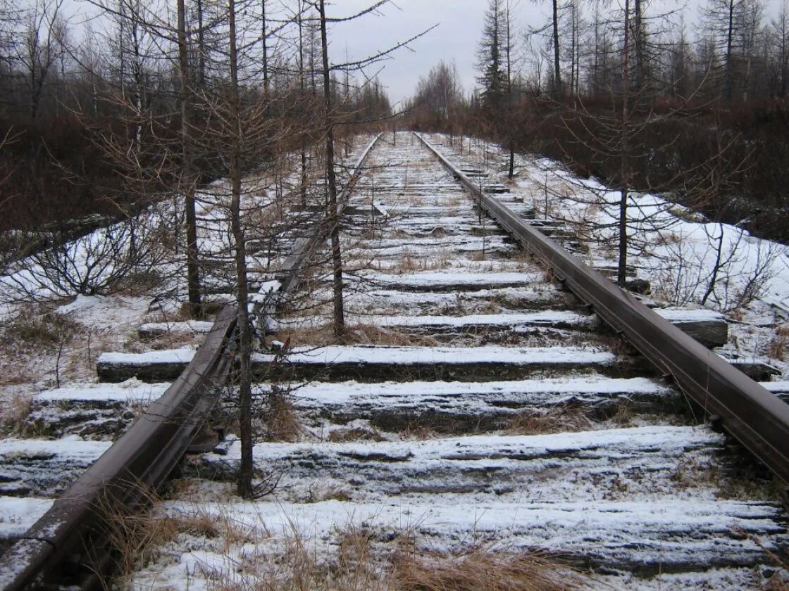 Салехард-Игарка железная дорога. Трансполярная железная дорога. Мёртвая дорога Салехард Игарка. Мертвая железная дорога Салехард.