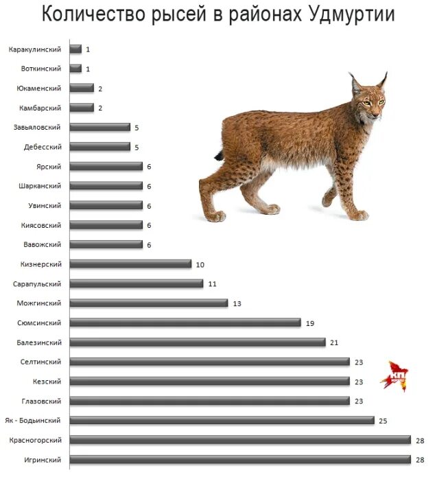 Рост животные. Рысь численность. Численность рыси обыкновенной в России. Рост животных таблица.