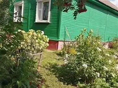 Деревня медведево