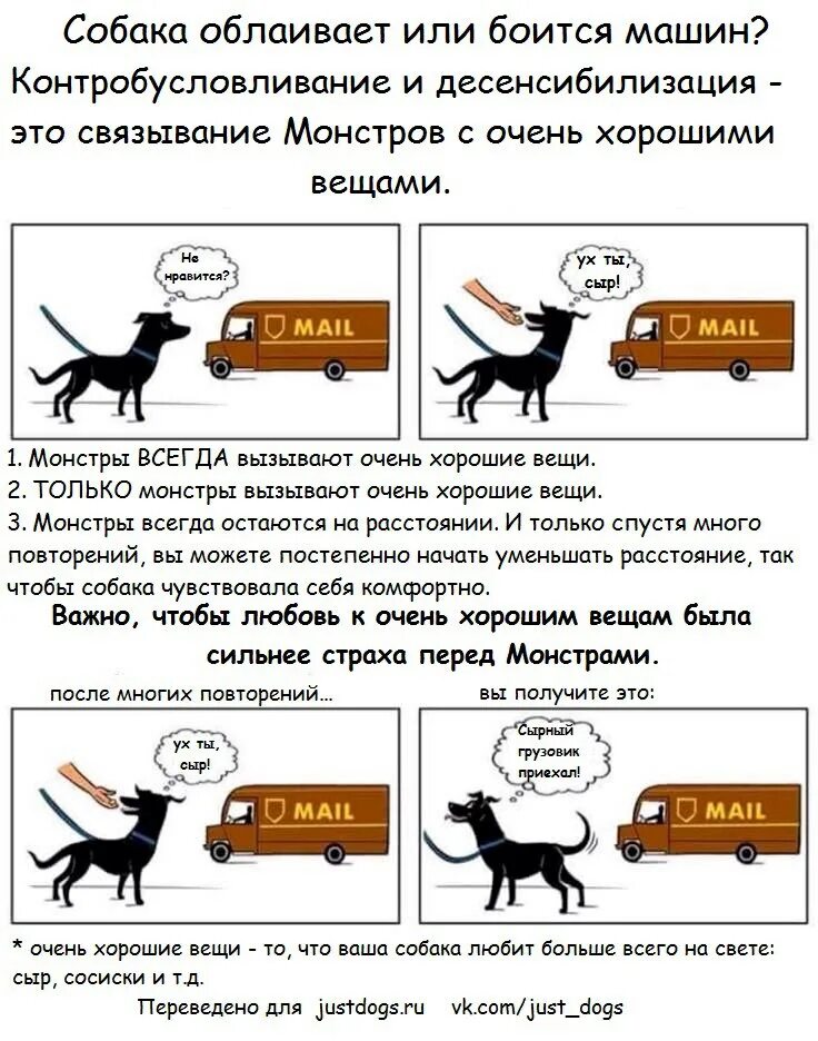 Чего боятся собаки больше всего