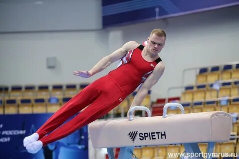 Спортивная гимнастика 2022