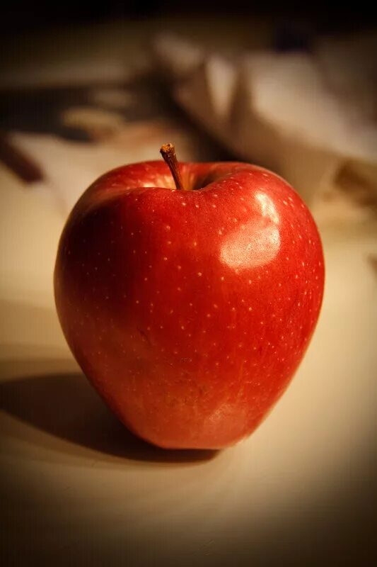 молодильное яблоко из сказки. молодильная яблоня. молодильное яблоко сказка книга. молодильные яблоки. живое яблоко.