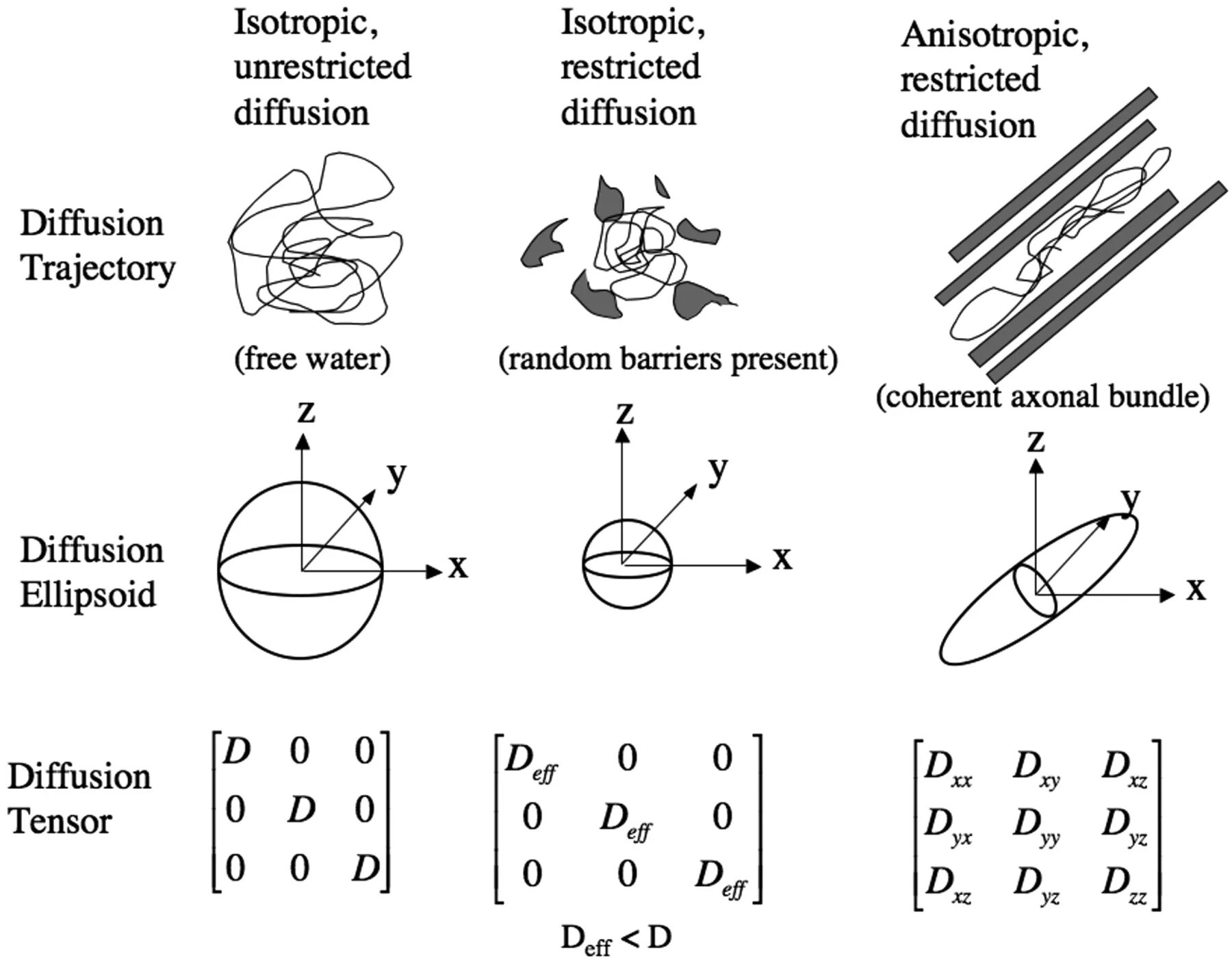 Diffusion tensor. Diffusion tensor imaging. isotropic. isotropic material. diffusion.