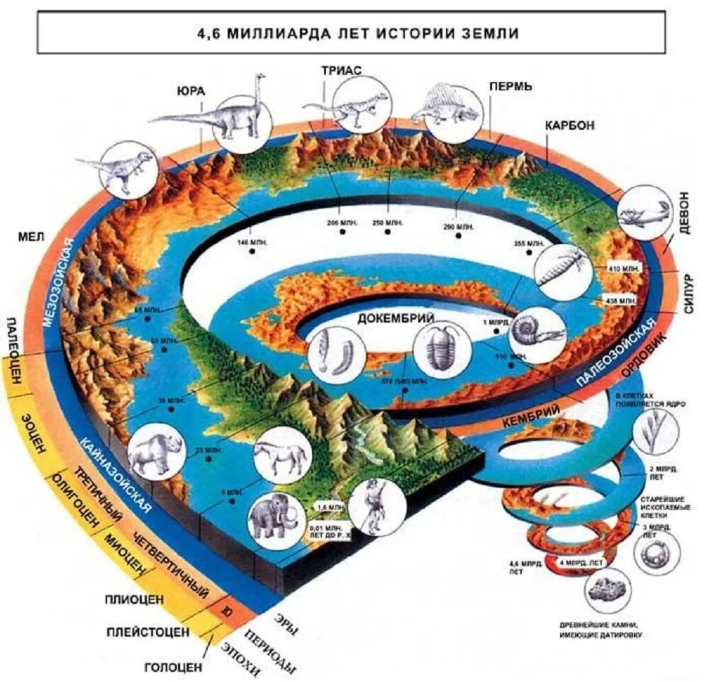 Внутреннее строение земли в разрезе. Этапы развития географической оболочки. Формирование современного рельефа. Теория шмидта о происхождении солнечной системы этапы. Строение земли.
