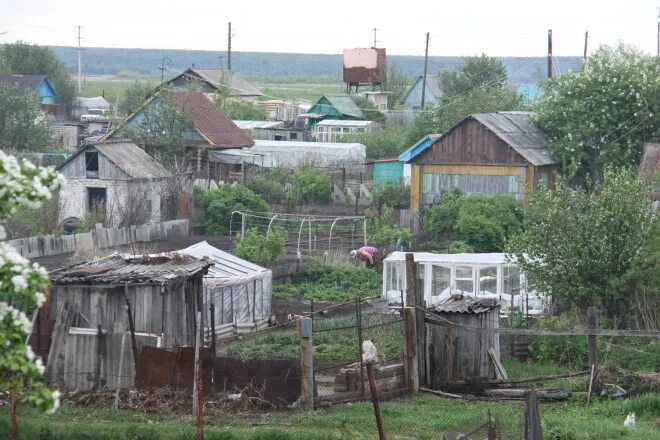 Ишимский сельсовет. Ишимский сельсовет. Ершово ишимский. Ишимский сельсовет. Ишимский сельсовет.
