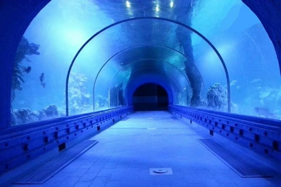 Гранд аквариум Хургада. Grand Aquarium Hurghada в Хургаде. Океанариум «Гранд-аквариум» в Хургаде. Гранд аквариум зоопарк Хургада. Океанариум хургада