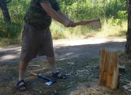 Далеко в лесу раздавались