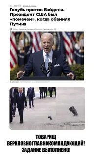 Голубь честь