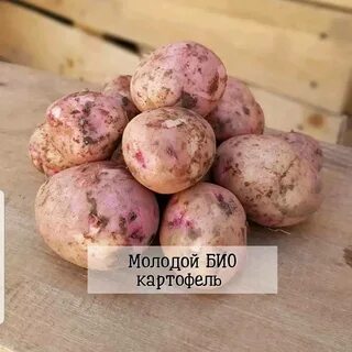 Ранних отзывы