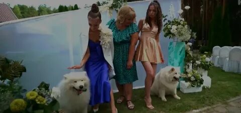 4 свадьбы пятница выпуски