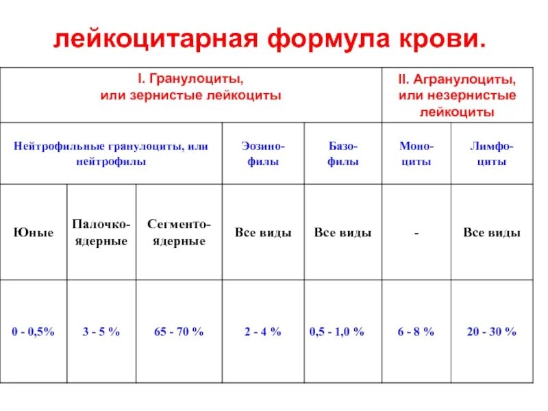 Классификация лейкоцитов лейкоцитарная формула. Лейкоциты, их функции, лейкоцитарная формула. незернистые лейкоциты. лейкоцитарная формула.