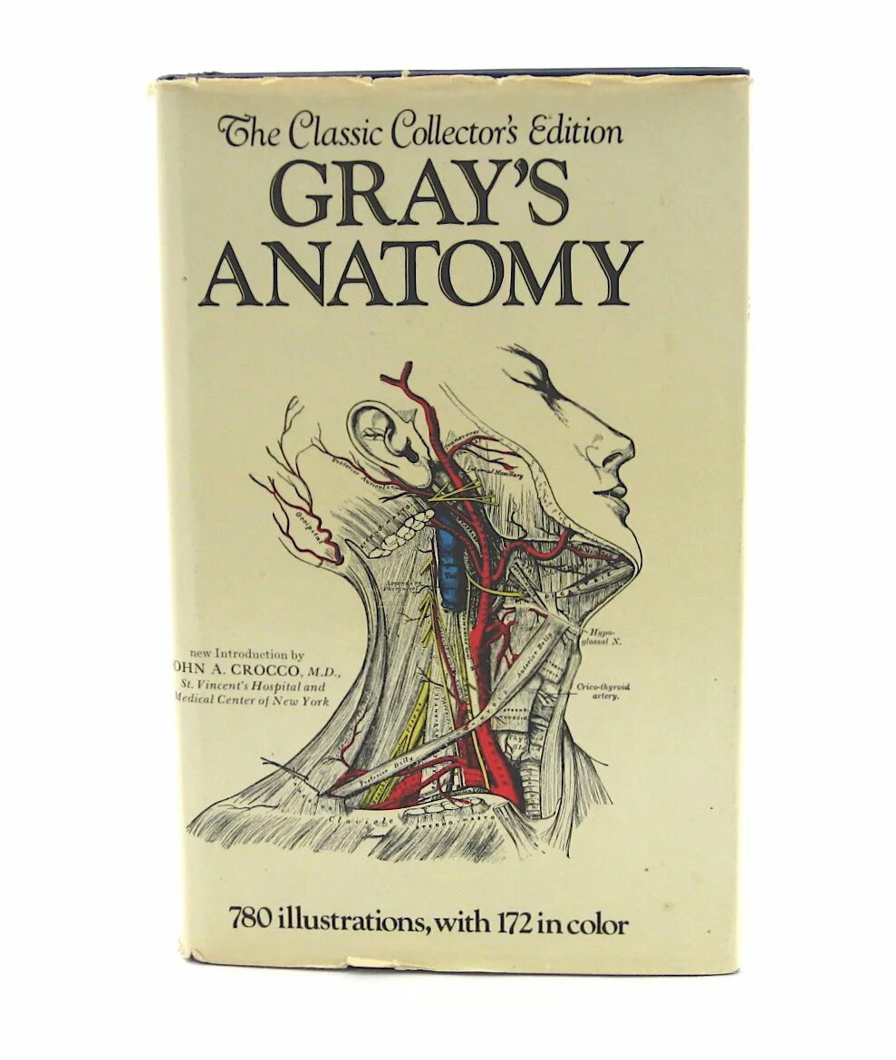 Анатомия падения оскар. Gray's анатомия Grey's Anatomy. Анатомия Грея учебник. Grey's Anatomy книга.