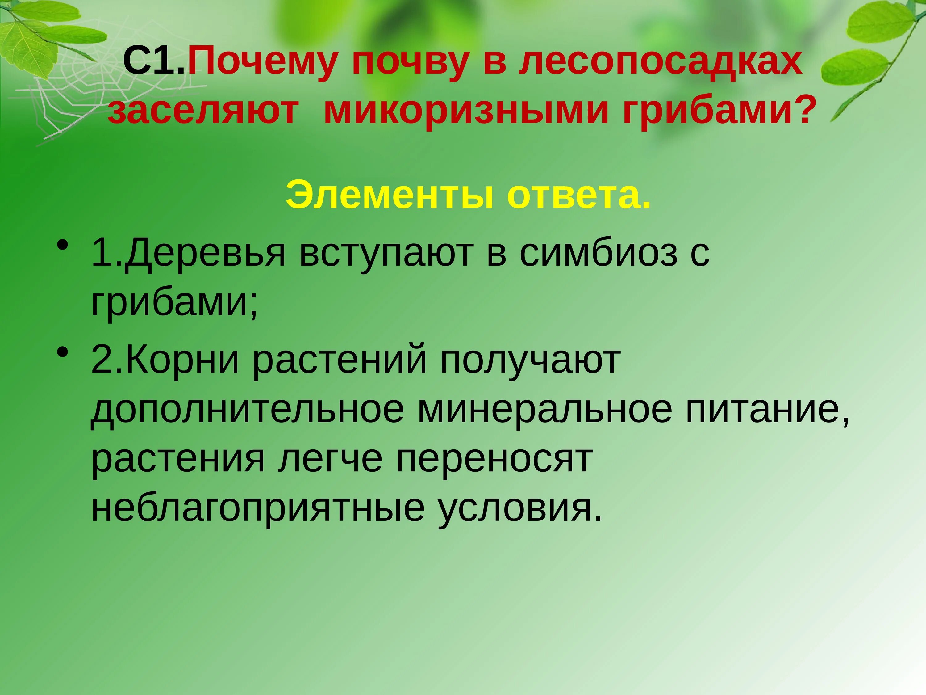 Исследовательский проект 6 класс. Задачи подготовительного этапа проекта. Персональные или групповые проекты. Учебный проект с точки зрения учащегося. Групповой исследовательский проект.