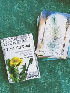 Plant Ally Cards.