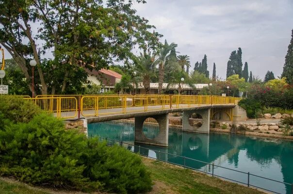 Кибуц нир давид. Кибуц хардуф. Нир давид израиль фото. Кибуц нирам. Нир ям кибуц.