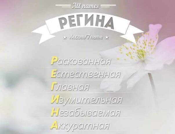 Regina перевод. Regina перевод. Regina перевод. Regina перевод. Regina перевод.