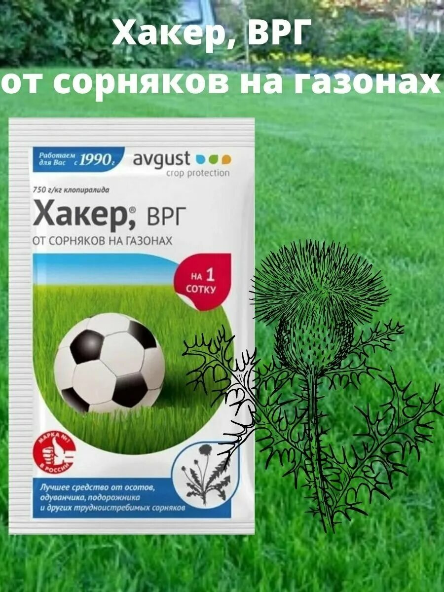 Хакер от одуванчиков на газоне отзывы. Средство от сорняков хакер. Химический препарат от сорняков хакер. Средство от сорняков на газоне. Хакер от одуванчиков на газоне отзывы.