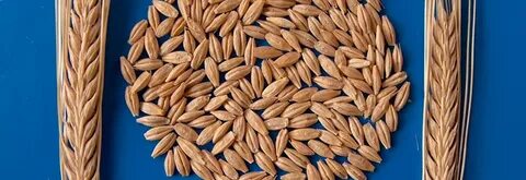 Порно Скуби-Ду Фред Дафна трахает