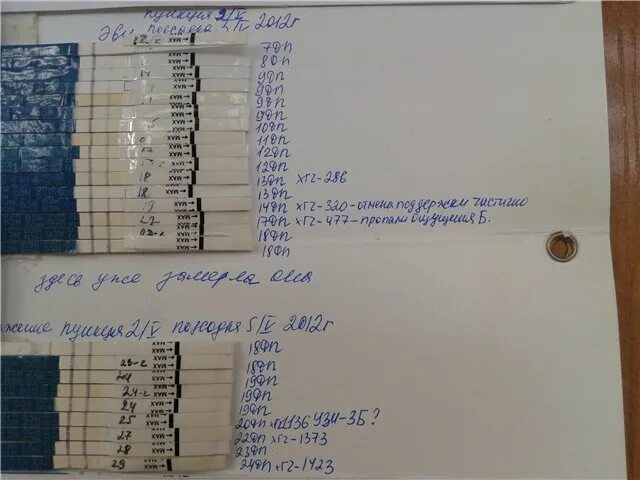 Тест на беременность 5 дневки. Тест на беременность после эко. Тесты после подсадки эмбрионов. ХГЧ тест на беременность. Тесты на беременность при подсадке.