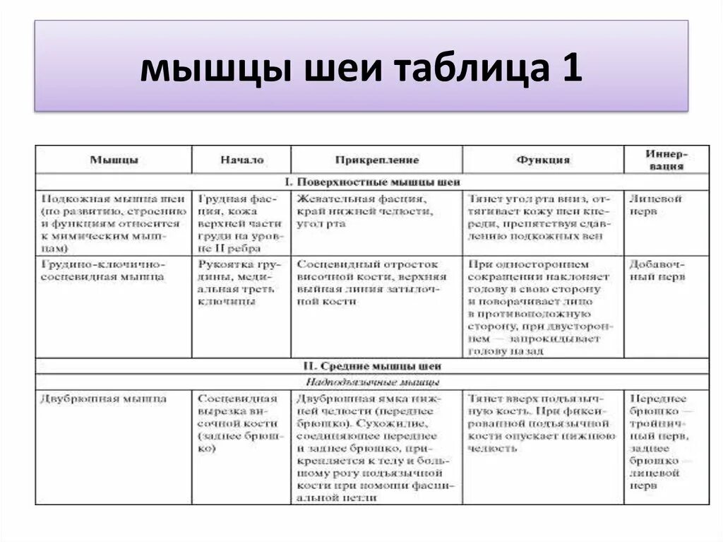 Поверхностные мышцы шеи таблица анатомия. Мышцы шеи таблица. Мышцы головы и шеи функции таблица. Мышцы шеи функции таблица. Мышцы шеи таблица по анатомии.