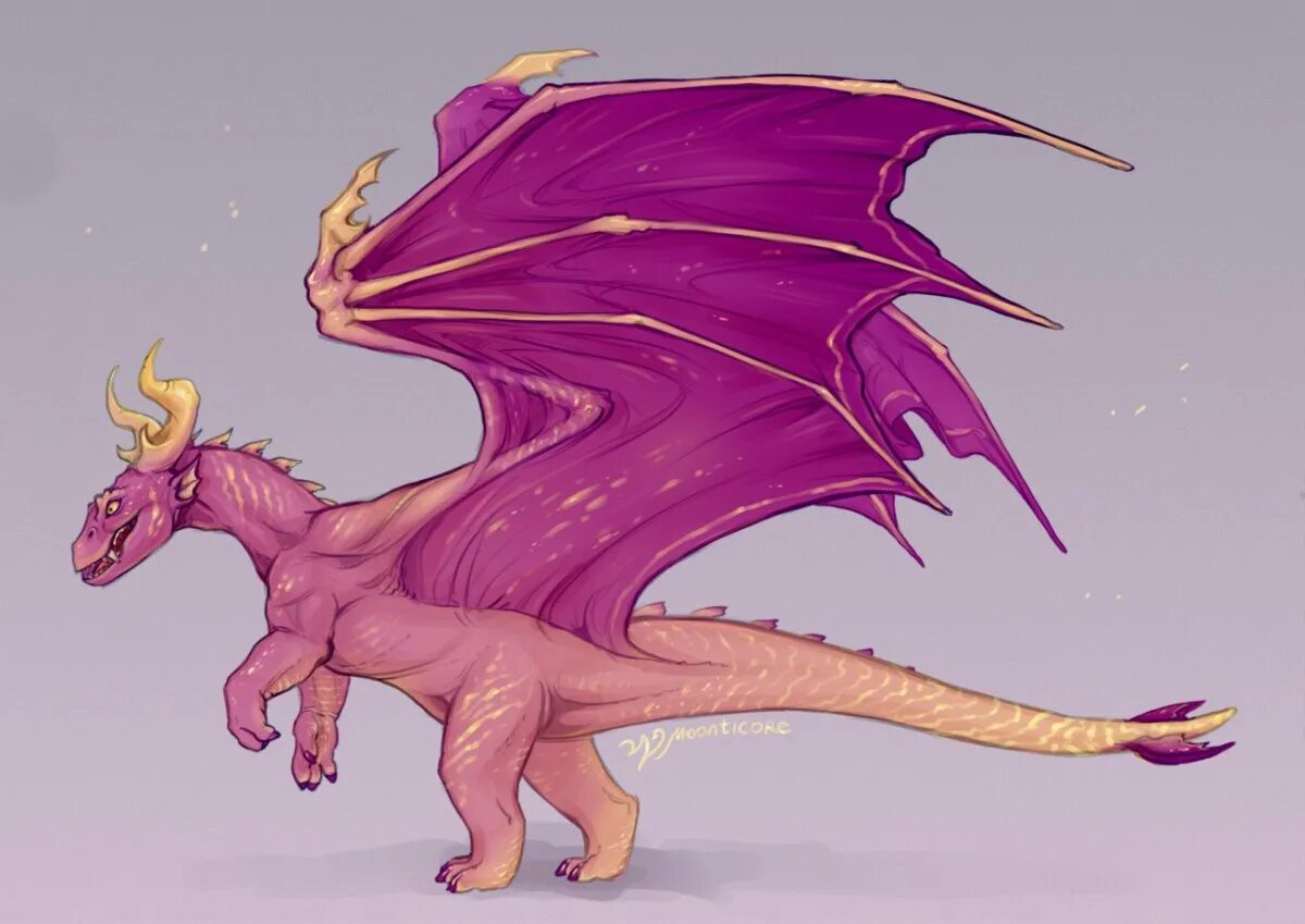 Random dragons