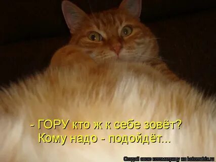 Ни разу не ходил