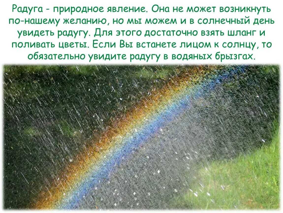 Увидеть радугу можно только в том. Увидеть утром радугу приметы. Радуга 1 класс окружающий мир. Приметы про радугу. Почему Радуга разноцветная.