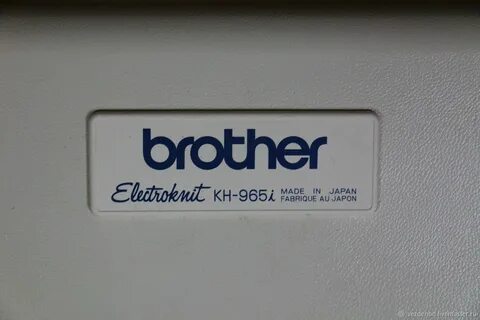 New brother