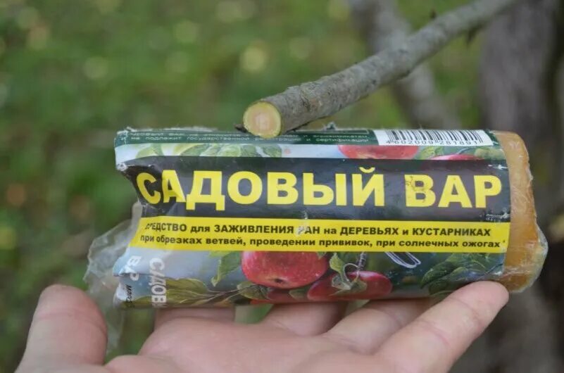 Отрава для деревьев. Садовый вар для деревьев. садовый вар для яблони. садовый вар обработка деревьев. садовый вар жидкий.