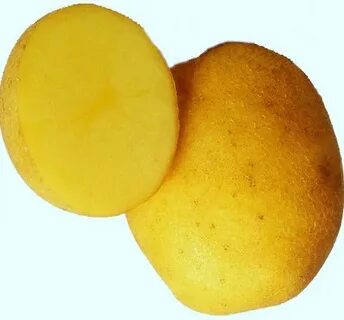 Сорт картофеля винета вкусовые качества отзывы
