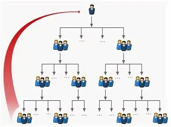 Lnsint net. LNS компания товары. Сетевой бизнес LNS. LNS маркетинг. LNS продукты.