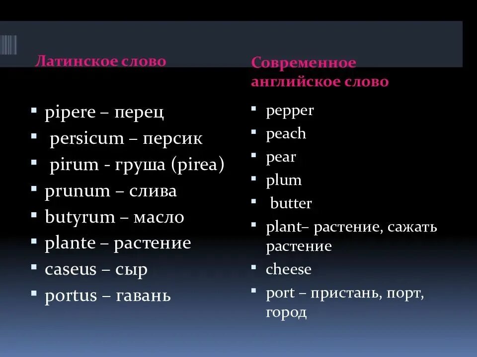 Слово используемое и сегодня. Латинские слова. Слова ни латинском языке. Слова на латыни. Слова на Балахтинском языке.