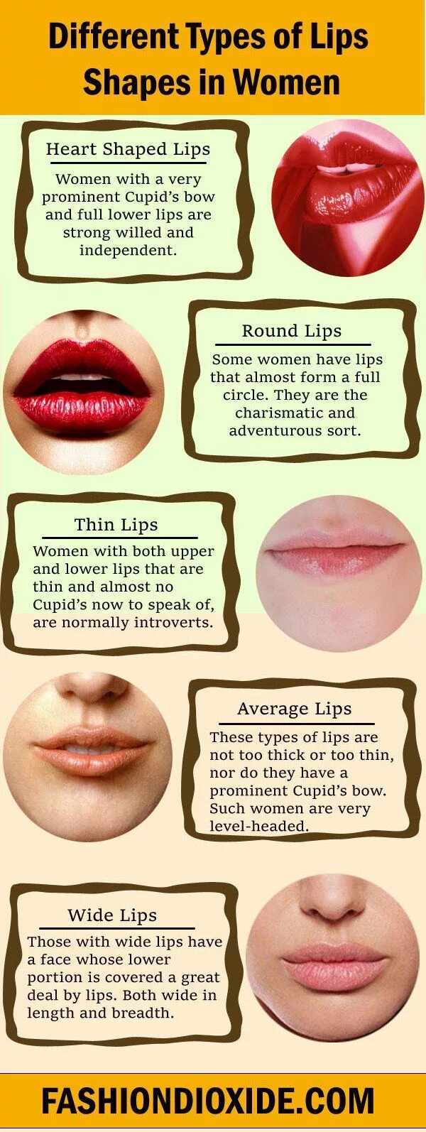 Lips types. Types of lips. different lip types. lips shape. types of lips на русском.