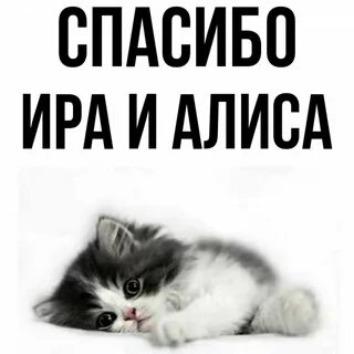 Благодарим алиса