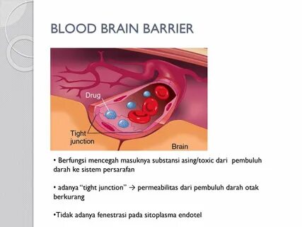 Blood brain