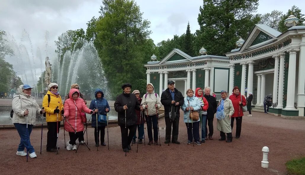 соцзащита петергоф