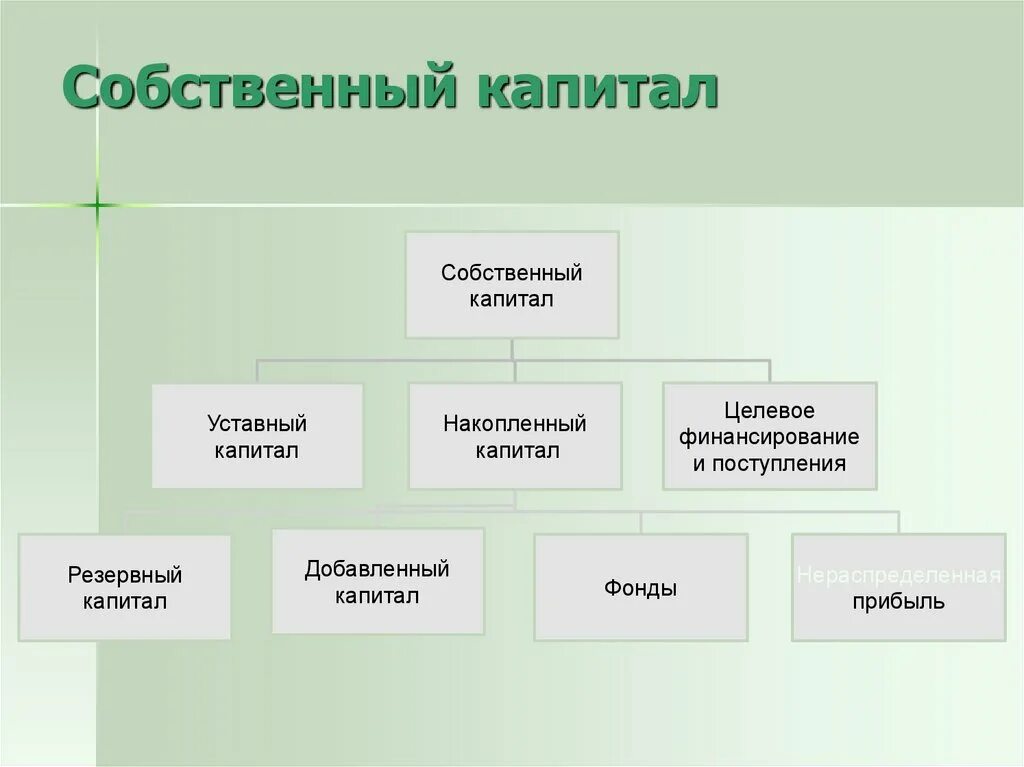 7 капитал организации. Собственный капитал. Собственный капитал фирмы. Уставный капитал это собственный капитал. Собственный Акционерный капитал.