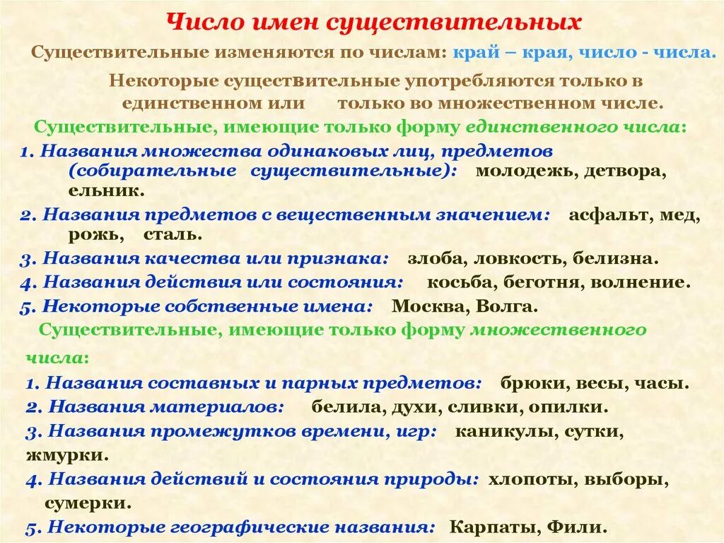 Существительные имеющие 2 формы множественного числа. Как понять число в именах существительных. существительное имеющее форму единственного и множественного числа. правило по теме множественное число имен существительных 5 класс. как определить число имен существительных 2 класс.
