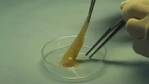 Әкелер мен қыздардың порносын көріңіз