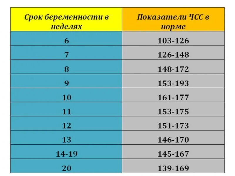 Как определить пол по сердцебиению
