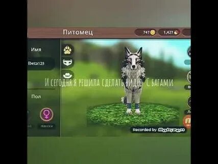 Вилд крафт баги 2024