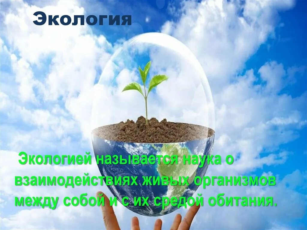 Экологические проблемы. Туризм и экология окружающей среды. Экология в современном мире. Проблемы экологии. Год экологии и окружающая среда