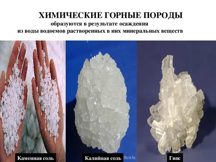 Осадочные химические горные. Химический горные породы. Химические осадочные породы. Химические горные породы. Биохимические горные породы.