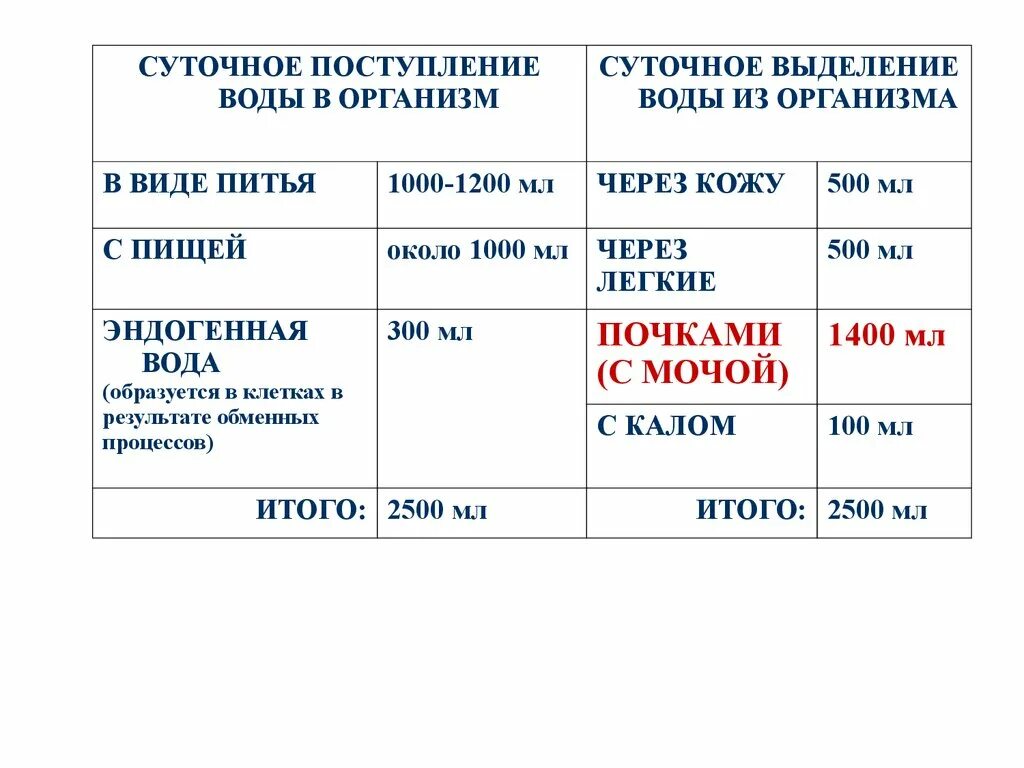 Пути поступления и выделения воды из организма. Источники поступления воды в организм. Поступление воды воды в организм. Основные пути поступления воды в организм.