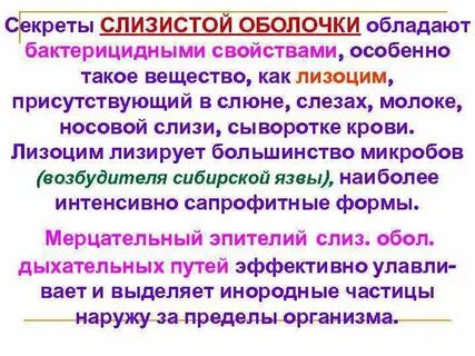 Бактерицидными свойствами обладают