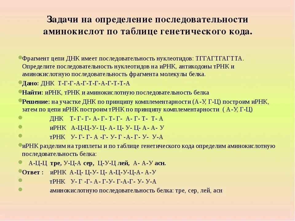 Определите аминокислотную последовательность полипептида. Задачи на аминокислоты. Последовательность аминокислот. Задачи на последовательность аминокислот. Задачи по молекулярной генетике.