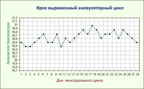 23 дня цикл это нормально или нет