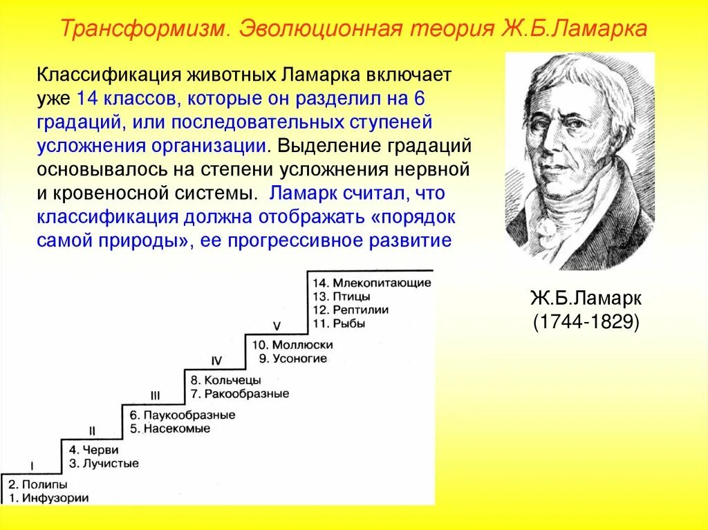 Эволюционные идеи ученых. Теория эволюции Ламарка презентация. Эволюционная теория Ламарка лестница. Эволюционные учения трансформизм. Эволюционные идеи Ламарка.