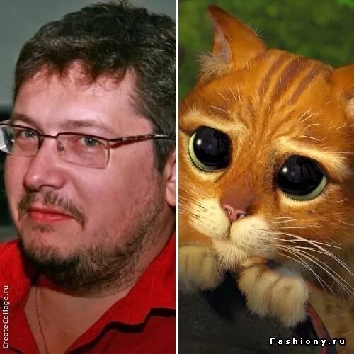 Кто озвучивает три кота фото Три кота" на Мультимире 2017 Фотография 7 из 80 ВКонтакте